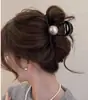 Grampo de agarrar grande quantidade de cabelo clipe de tubarão grampo de cabelo de cabeça de alto sentido grampo de cabelo de cocar grampo de cabelo 2024 novo