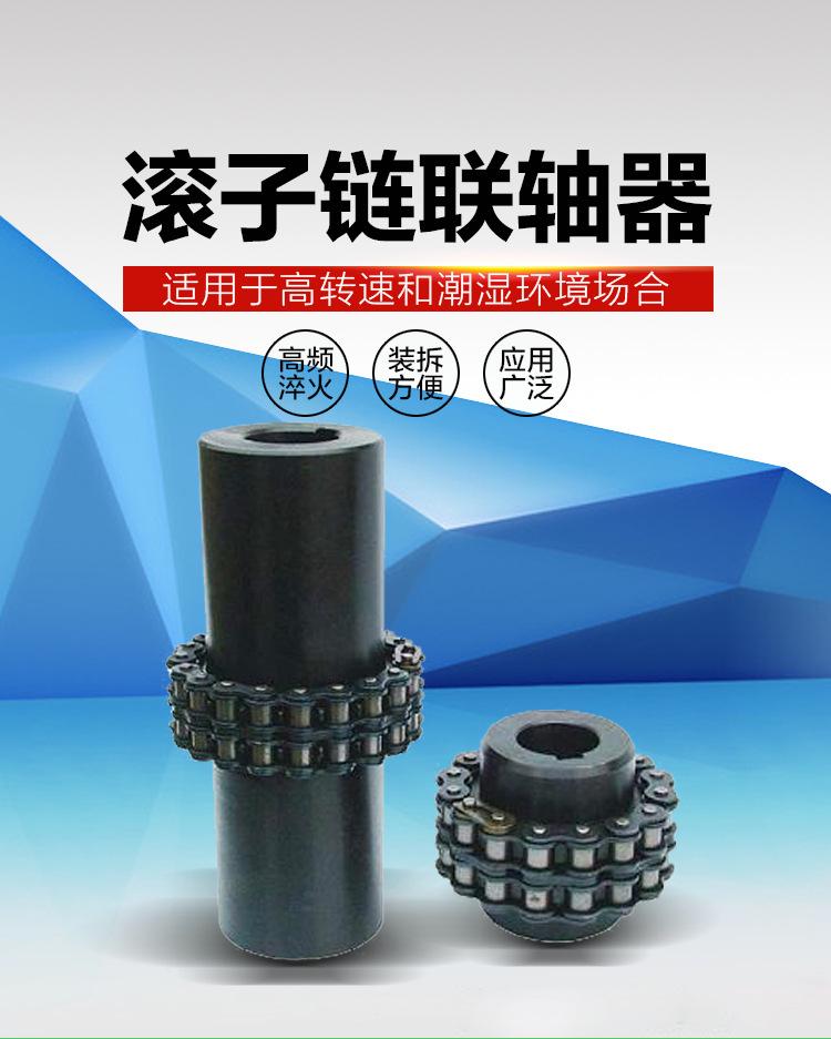 GL型滚子链联轴器-01.jpg