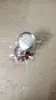 Máquina Selladora Continua 770 900 Accesorios Rueda de Impresión Rueda de Fecha Rueda de Estampado Rueda Rayada Rueda Lisa