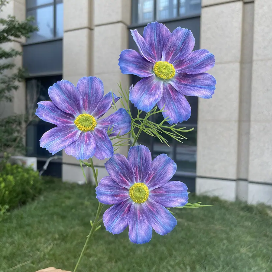 3头彩印格桑花-xhmgyx-深紫.JPG