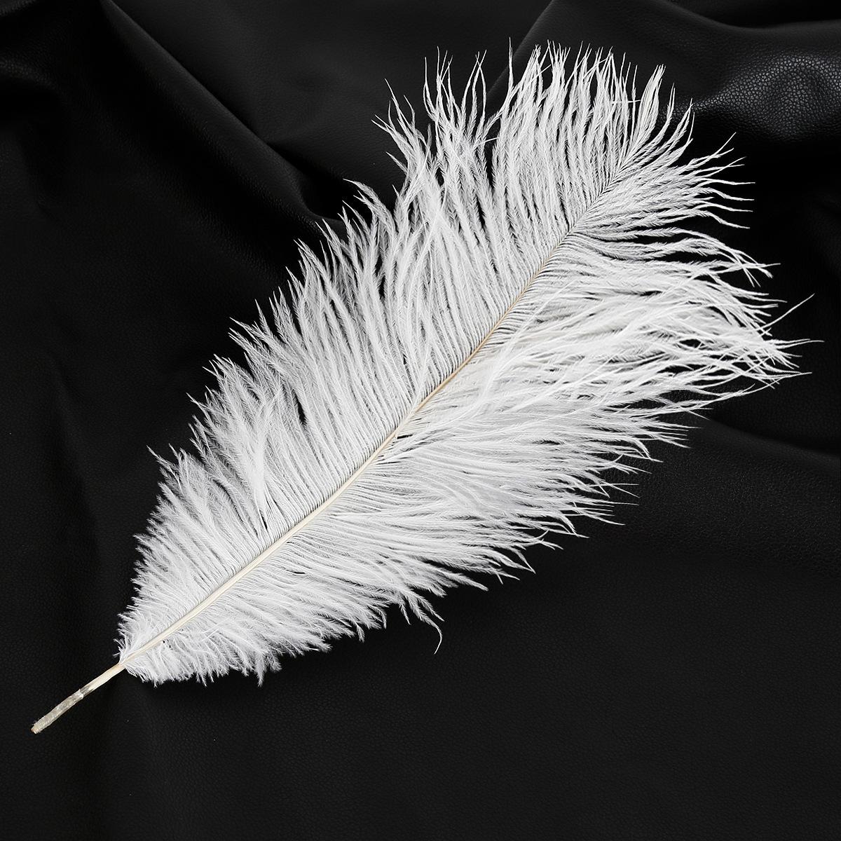 未标题-1_0006__MG_2253