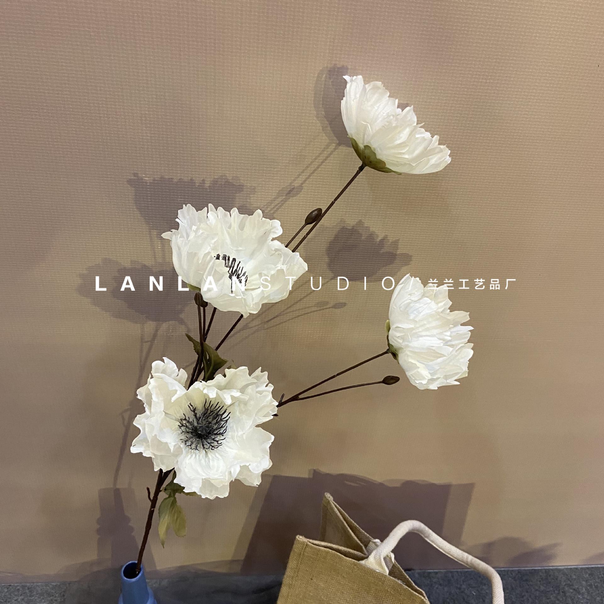 微信图片_20201031224233