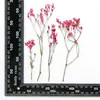 Xiacao Espécimen de Planta en Relieve Goteo de Gel Carcasa para Teléfono Móvil diy Material de Marco de Fotos Flores Secas en Relieve Flores Reales Maquillaje de Novia