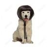 Peluca de flequillo Qi para mascota, cabeza de bobo para perro, cabeza de bobo de oreja descubierta para gato, disponible como peluca para fiesta navideña