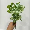 Colgante de Pared de Planta Artificial de 5 Ramas, Pequeño Ramillete de Plantas Verdes de 7 Ramas, Hojas de Potos, Decoración de Pared para Interiores, Plantas Verdes Falsas
