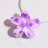 Nuevo Clip para Labios de Tiburón de Venta Caliente para Mujer, Fresco y Dulce, Bloque de Color Degradado Brillante, Pinza de Flor, Accesorio de Cabello de Moda Versátil