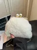 Bolsas, Bolsas Transversais, Bolsas Femininas, Bolsas de Ombro com Corrente de Luxo, Bolsas Casuais da Moda em Formato de Concha de Pelúcia, Bolsas Simples com Fecho