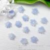 Acessórios de unha de rosa azul esculpida para unhas quentes de verão, brilho fino luminoso, acessórios de unha de Camélia, atacado misto