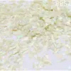 Madrepérola Laca Peças Finas de Concha de Abalone Nail Art Mosaico Pintura em Laca Peças de Madrepérola Material DIY Laca Incrustada Leidezhu