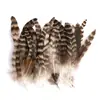 80 Tipos de Penas Naturais de Faisão, Penas Reais, Decorações Nativas Americanas, Acessórios DIY, Acessórios de Cabelo, Peças para Brinquedo de Vara para Gato