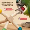 Hamaca de Columpio de Madera de Amazon Tablón con Resorte Columpio para Loro Juego de Tres Piezas Juguete Plataforma de Hábitat para Pájaros Escalera para Trepar Loro