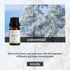 Aromaterapia Inglesa Completa Óleo Essencial Solúvel em Água Mejisoo Máquina de Aromaterapia Difusor Fragrância Óleo Essencial Fabricante Atacado Transfronteiriço