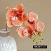 5 Cabeças sensação hidratante orquídea borboleta simulação Orquídea Casamento filme flor artificial fotografia decoração flor eterna atacado