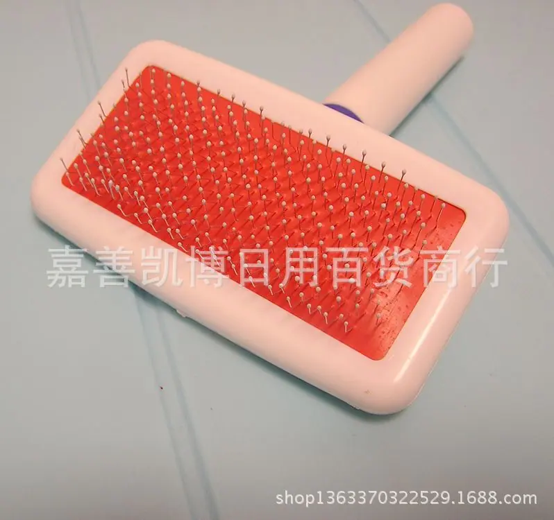 P1010038