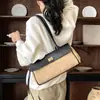 Bolsas de Design de Nicho 2026 Nova Textura de Alta Qualidade Bolsa de Mão Retrô Grande Capacidade Ombro Único Transversal Bolsa para o Trabalho Feminina
