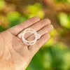 Clips para Plantas Trepadoras, Clips de Fijación para Enredaderas, Clips para Colgar Enredaderas, Clips de Soporte para Enredaderas, Fijadores para Tomates Trepadores, Clips Pequeños de Plástico