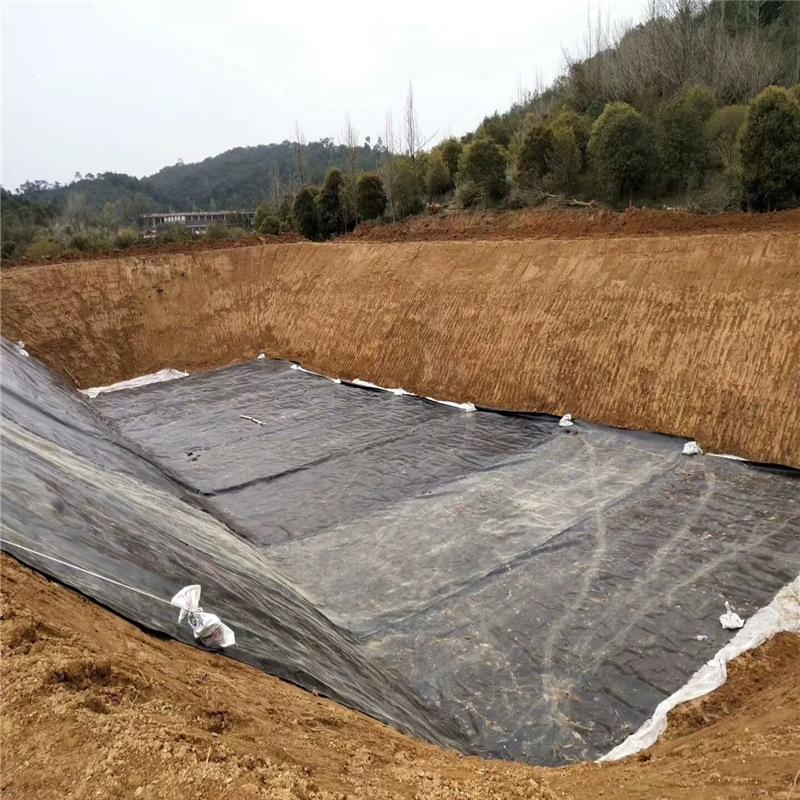 4264e4d3572c11df5a257b456c2762