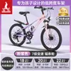 Bicicleta Infantil Phoenix para Niñas de 6-12-15 Años, Adolescentes, Niños Mayores, Bicicleta de Montaña con Cambios para Estudiantes