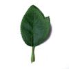 Fábrica em estoque fornecimento folha de rosa artificial flor de sabão folha flor de malha de seda folha flor de seda tela de seda tiro de osso folha artificial