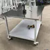 Banco de Trabajo Móvil para Soldadura de Acero Inoxidable de Alta Resistencia con Mesa de Operación con Ruedas Taller Carrito de Doble Capa Mesa Experimental de Madera Todo Acero Mesa