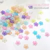 Al por mayor 8 mm Hielo Transparente Flor de Cinco Pétalos Joyería para Uñas Arte de Uñas Resina Estereoscópica Flor Colorida Accesorios para Uñas Decoración de Uñas Portátil