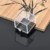 Caja Mina Gato Caja Estándar Mina Cristal Mineral Muestra Caja Exhibición Colección Caja Cubo Caja Plástico Transparente S3.4S5.1