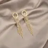 Brincos Longos de Prata com Franjas de Diamante Total Super Brilhantes, Populares Online, Fazem o Rosto Parecer Mais Magro, Brincos de Corrente Estilosos e Versáteis
