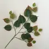 Hojas de árbol artificiales: hojas de arce rojo, hojas de arce japonés, hojas de ginkgo, hojas de plátano de sombra, hojas de sicómoro, hojas de arce de cinco puntas, ramas de aliso, hojas de plástico artificial