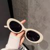 Gafas de Sol Retro Europeas y Americanas Estilo Celebridad de Internet de Alta Gama con Protección Solar para Mujer Verano 2024 Estilo Coreano Estilo Hong Kong Gafas de Sol Ojo de Gato