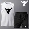 Colete de Secagem Rápida Transfronteiriço Moda Casual Shorts Esportivos Conjunto Verão Cor Sólida Estampado Roupa de Treino Fitness Conjunto de Duas Peças