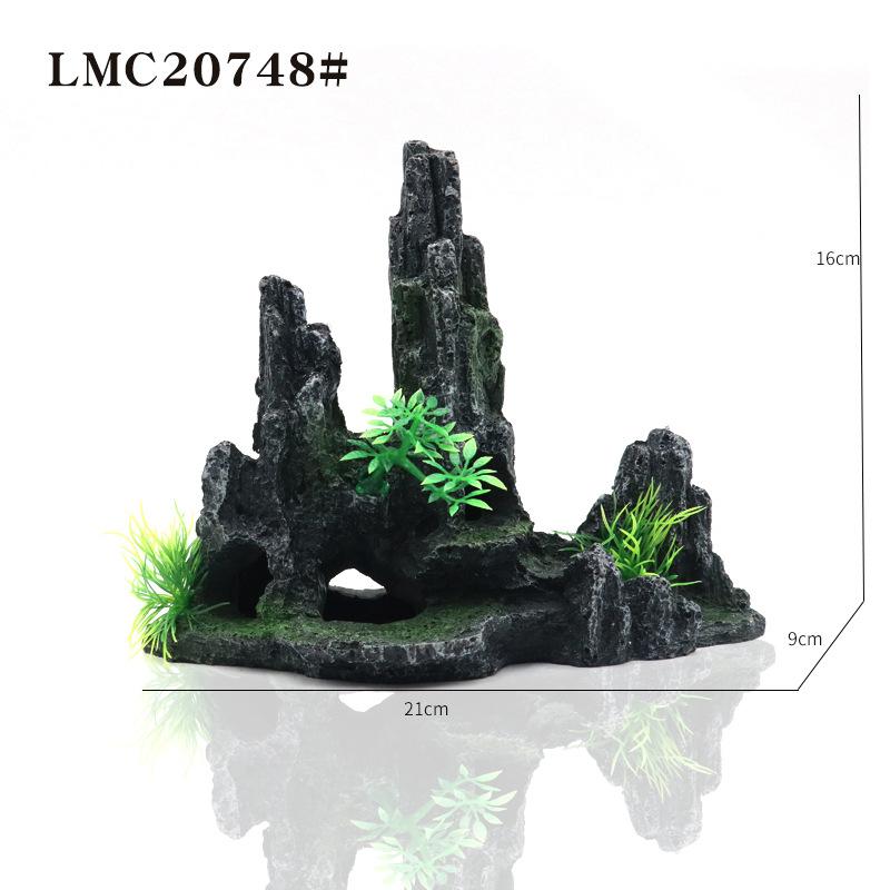 LMC20748