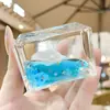 Novos ornamentos de mesa criativos com óleo, decorações de mesa coloridas da série oceânica com conchas, atacado de presentes de feriado