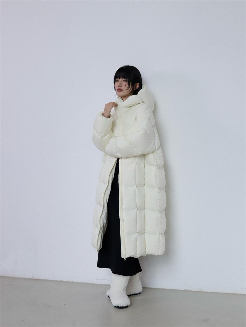 2024-11-19 173355.jpg