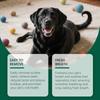 Toallitas Limpiadoras de Dientes para Mascotas Eeljoy Limpian Partículas Residuales entre los Dientes, Refrescan el Mal Aliento Bucal y Son Convenientes de Usar