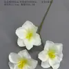 Flores Artificiais Brancas de Casamento para Teto de Salão de Casamento, Flores Artificiais para Palco, Arranjos Florais para Corredores, Flores para Decoração de Hotel
