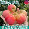 Mudas de Frutas em Forma de Coração Cristalizadas para Plantio em Jardins do Norte e Sul, Mudas Pequenas de Maçã Enxertadas Anãs em Vasos