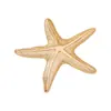 Tendencia de Moda de Venta Caliente Transfronteriza Nicho Moda de Alta Gama Broche de Estrella de Mar Adecuado para que las Mujeres lo Usen en Banquetes Diarios y Fiestas