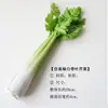 Modelo de Verdura Simulada Lechuga Falsa Repollo Brócoli Hojas Verdes Hojas de Shanghái Modelo de Gabinete Decoración para Casa
