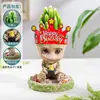 Suculentas, Cactos, Plantas Pequenas em Vasos, Cacto Groot, Decorações de Mesa no Escritório, Plantas Verdes Fáceis de Cultivar para Pessoas Preguiçosas