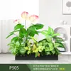 Paisagismo com Plantas Verdes Simulação Floreira Divisória de Piso Arte Floral de Chão Paisagem de Plantas Combinação de Floreira Flor Artificial em Vaso Bonsai Decoração