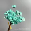 Flor Estrella Brasileña Flor Inmortal Flor Real Flor Seca Ramo Caja de Regalo Decorativa con Accesorios de Fotografía de Flores Material para Manualidades