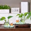 Novo vaso de flores hidropônico estilo chinês Huaiyuan para monge e jovem monge noviço, ornamento de mesa para casa, escritório ou espaço de trabalho, vaso decorativo para cultivar flores