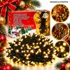Pisca Pisca de Natal 100 LEDs Branco Quente Fio Verde 8 Funções 10m 127V 15106