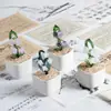 Adornos de Artesanía de Vidriado Zibo Orquídea Suzuki Planta Verde en Maceta Especialidad de Boshan Decoración del Hogar Regalo de Escritorio
