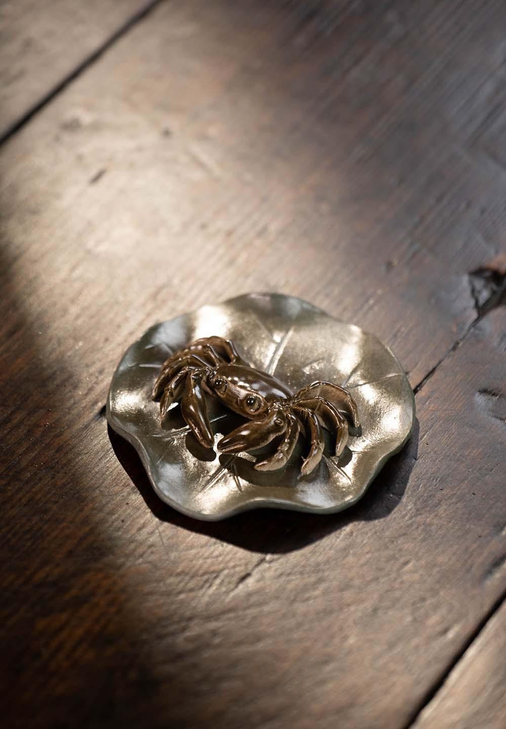 变色螃蟹20230516 (16).jpg