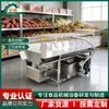 Máquina Grande de Limpieza y Eliminación de Lodo de Camote Tipo Aspersión Máquina de Limpieza y Eliminación de Lodo de Ñame y Rábano Máquina de Limpieza de Raíces y Frutas y Verduras