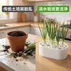 Kit de planta hidropónica de cebolleta más vendido transfronterizo, sin tierra, sin necesidad de habilidades, cosecha rápida, para balcón, alféizar, caja de cultivo para el hogar