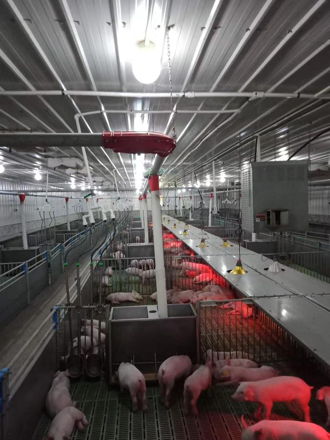 2e85be4d909a866aa85cd5a56de1e3