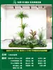 Paisagismo de Planta Artificial Varanda Arranjo de Paisagem Escada Interna Sob Árvore de Flores Artificiais Decoração Biomórfica Planta Verde Paisagismo Combinação