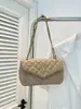 Bolso Texturizado de Alta Gama para Mujer Modelo Nuevo 2026, Bolso de Hombro Acolchado Elegante y Versátil, Bolso Cruzado Chic y Sencillo